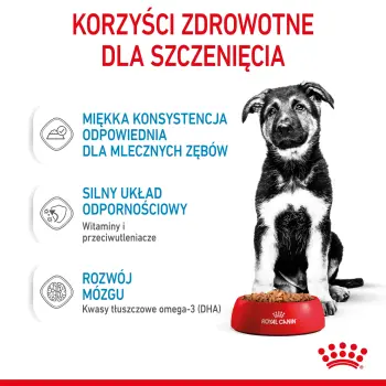 ROYAL CANIN Maxi Puppy 10x140g