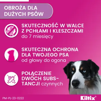 Bayer Kiltix Obroża Na Kleszcze I Pchły Dla Psa 70cm