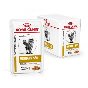 ROYAL CANIN Cat Urinary Moderate Calorie 12x85g