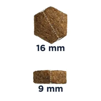 Eukanuba Junior Large 15kg