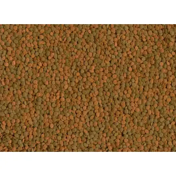 Tetra Wafer Mini Mix 100ml