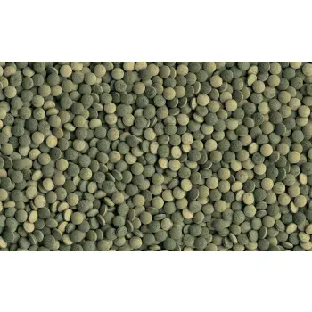 Tetra Pleco Tabletes 58 Tabletek