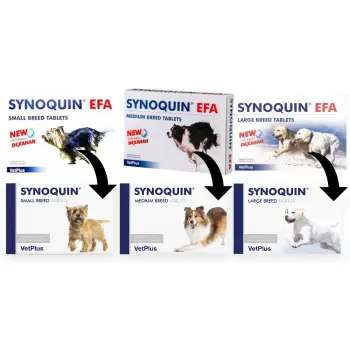 VetPlus Synoquin Efa Medium Breed 30tab