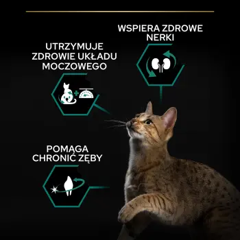 PURINA Pro Plan Sterilised Adult Królik 10kg