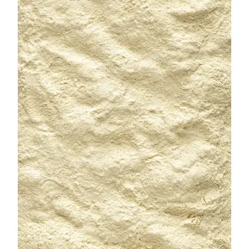 Versele-Laga NutriBird A21 Pokarm Do Ręcznego Karmienia Piskląt 3kg