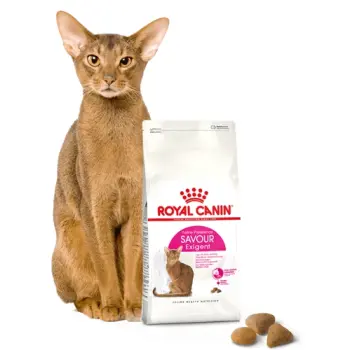 ROYAL CANIN Savour Exigent 4kg