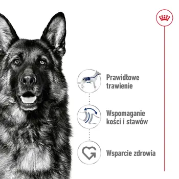 ROYAL CANIN Maxi Adult 15kg