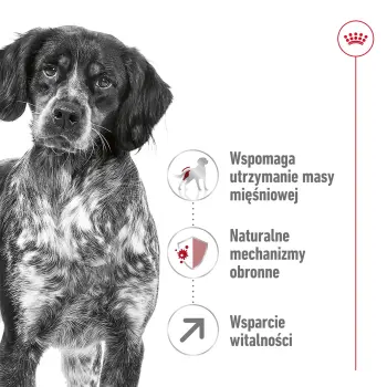 ROYAL CANIN Medium Adult 7+ 15kg