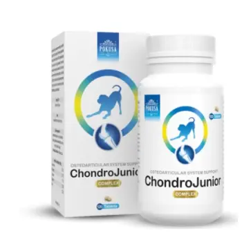 POKUSA ChondroLine ChondroJunior 120 tab.