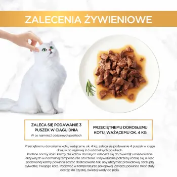 Purina Gourmet Gold Sauce Delight z wołowiną 85g