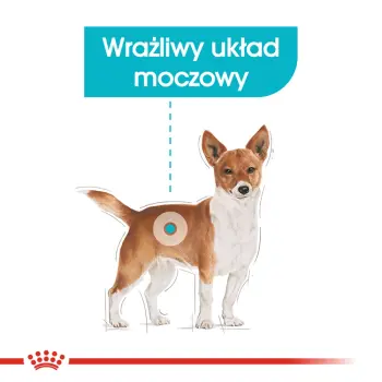 Royal Canin Mini Urinary Care karma sucha dla psów dorosłych, ras małych, ochrona dolnych dróg moczowych 3kg