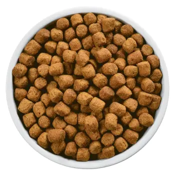 Hill's PD Prescription Diet Canine Weight Loss r/d 10kg