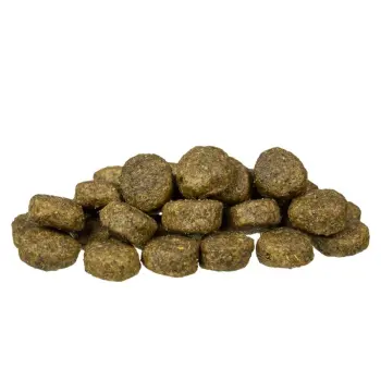 Bosch Sensitive Adult Lamb & Rice 15kg