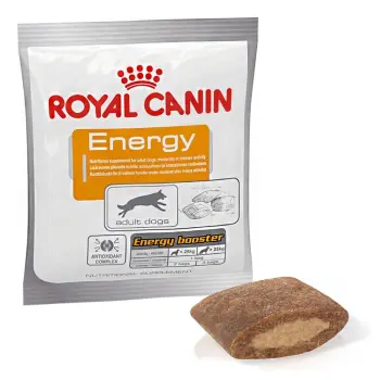 Royal Canin Nutritional Supplement Energy zdrowy przysmak dla psów dorosłych, aktywnych 50g