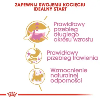 Royal Canin Maine Coon Kitten karma sucha dla kociąt, do 15 miesiąca, rasy maine coon 4kg