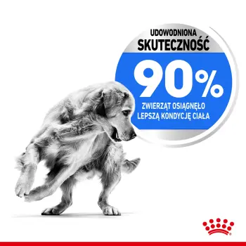 Royal Canin Maxi Light Weight Care karma sucha dla psów dorosłych, ras dużych z tendencją do nadwagi 3kg