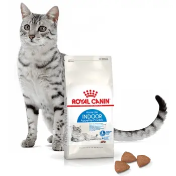 Royal Canin Indoor Apetite Control karma sucha dla kotów dorosłych, przebywających w domu, domagających się jedzenia 2kg