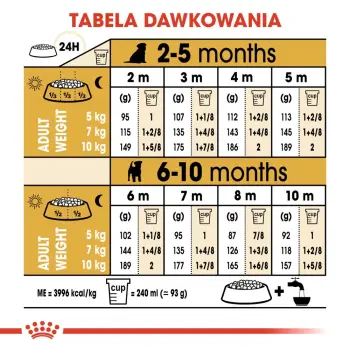 Royal Canin Jack Russell Terrier Puppy karma sucha dla szczeniąt do 10 miesiąca, rasy jack russell terrier 500g