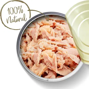 Applaws puszka dla kota Tuńczyk 70g