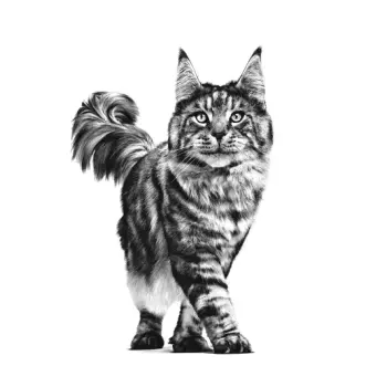 Royal Canin Veterinary Care Nutrition Feline Skin & Coat 400g