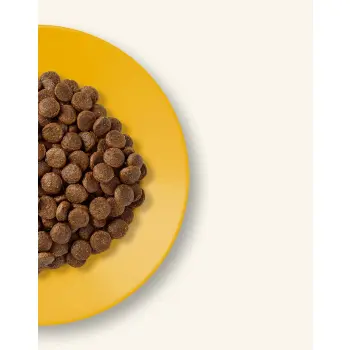 Applaws Cat Adult Chicken 2kg