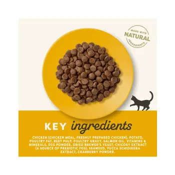 Applaws Cat Adult Chicken 2kg