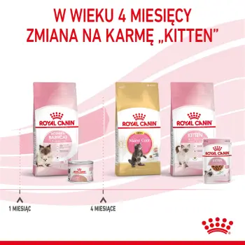 Royal Canin Mother & Babycat Instinctive Mousse karma mokra - mus dla kociąt i kotek karmiących puszka 195g