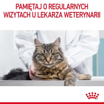 Royal Canin Appetite Control Care karma sucha dla kotów dorosłych, domagających się jedzenia 2kg