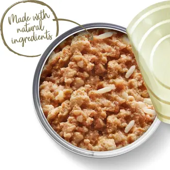 Applaws puszka dla kociąt Kitten Kurczak 70g