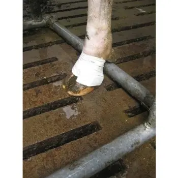 Amylactiv MAX 120 kapsułek