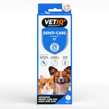 VetIQ Denti - care KIT 70g Pasta enzym zestaw WYPRZEDAŻ